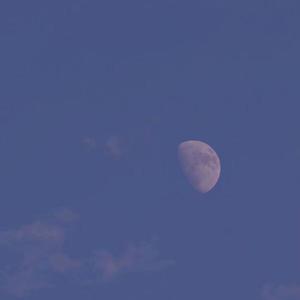 藏（翻自 徐梦圆）