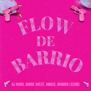 Flow de Barrio