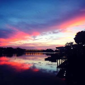 鹿头LuTo-后来Remix（SY remix）