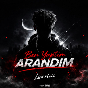 Ben Yaptım Arandım