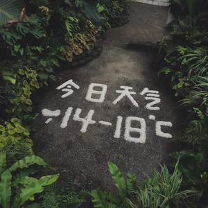 「寶貝」（翻自 张悬）