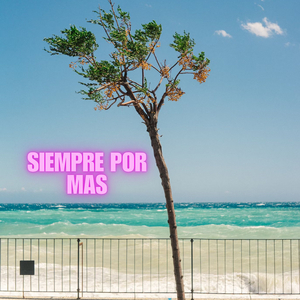 Siempre por Más