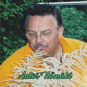 Tahtoisin vain sinut