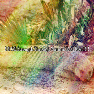 一個寧靜的夢想之夜