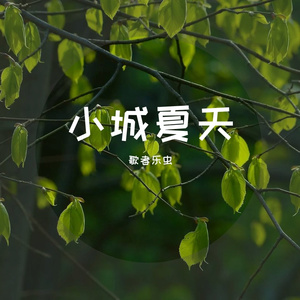 小城夏天-歌者乐虫
