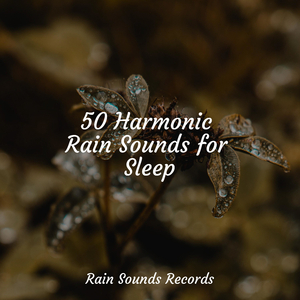 Seaborne Symphony