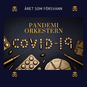 Året som försvann