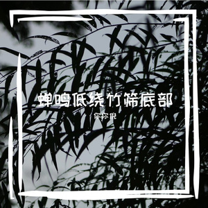 远方的你你倪