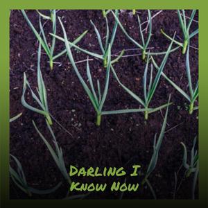 Come Back to me Darlin'