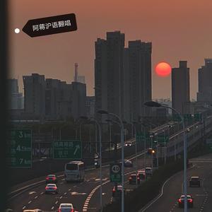 老老欢喜侬-cover from LOTZ 伴奏