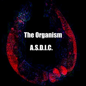 The Organism