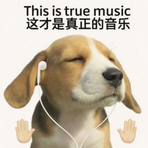 真心错付泪成河（减速版）