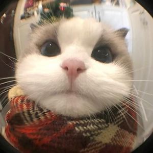 生锈齿轮转动的往事