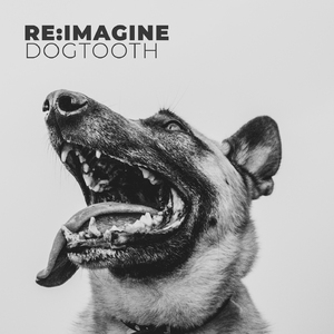 DOGTOOTH (Piano Instrumental - Piano Cover)