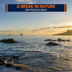 Night Beach Fire Motion