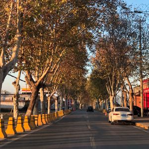 在金色阳光的路上