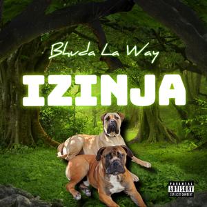 Izinja
