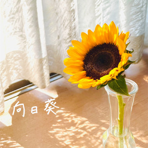 向日葵