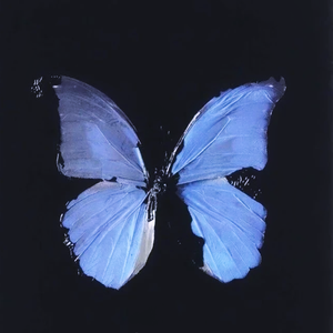 少数派报告(Tizzy-t片段)