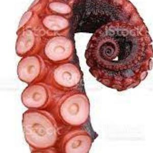 Cypher Cerveau (feat. Sixtape, Jordan Sudsika, Akashi_A2S, Senor el kalif, Tomy le merluchon, Rackam, ApointZ & Fhat-R)