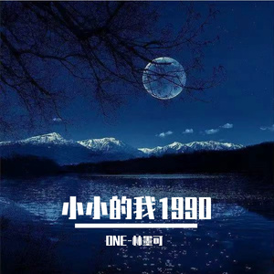 未知 - 小小的我 1990__音质