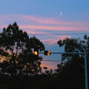 此时已莺飞草长