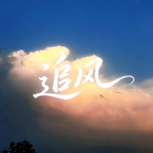 追风