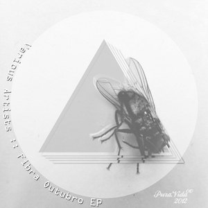 One Year (Kachu Mx Remix)