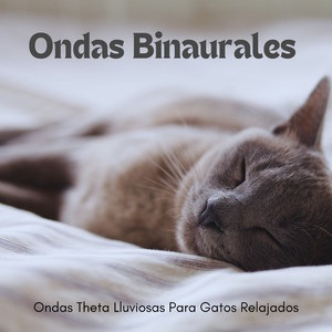Reparadores Bigotes Lluviosos