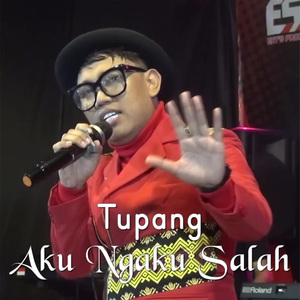 Aku Ngaku Salah