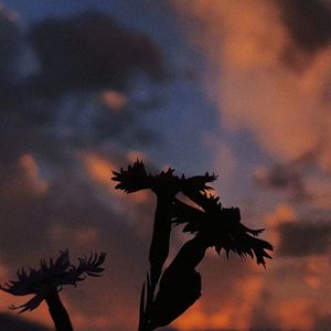 剧本式心动（Prod.by Yn1Jasper）