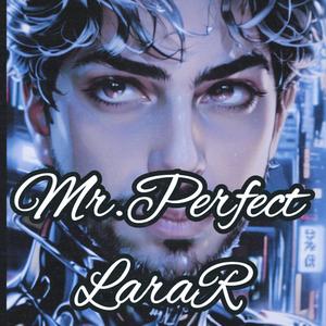 Mr.Perfect