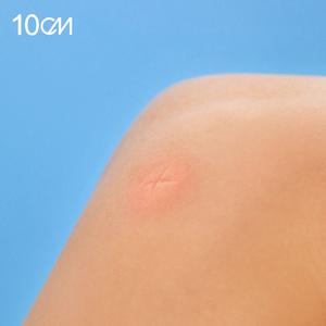 방에 모기가 있어