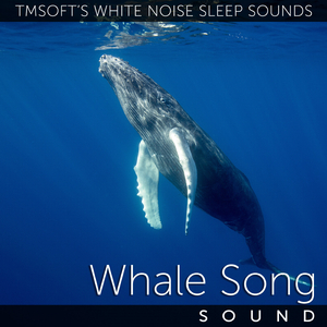 Underwater Whale Song Ambience