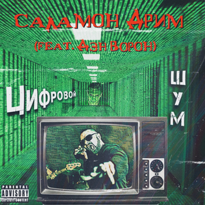 Цифровой шум