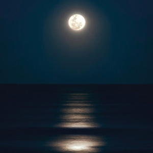 Elegy from Silvered Night