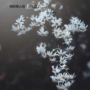 相思离人泪 (女生版)