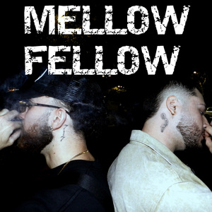 Mellow Fellow