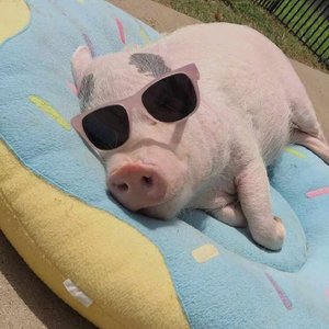 程伟-Right here waiting 钢琴版改编（程伟 remix）