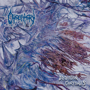 Indignation Unravels (Single)