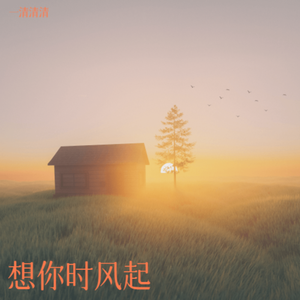 想你时风起