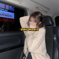 炫动电摆 (DJ版)