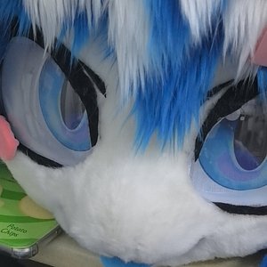 E l'alba verrà（福瑞版）