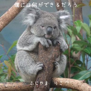 僕には何ができるのだろう