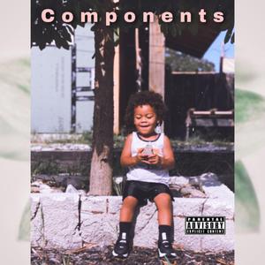 Components