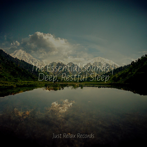 Enveloped in Shadowed Silence