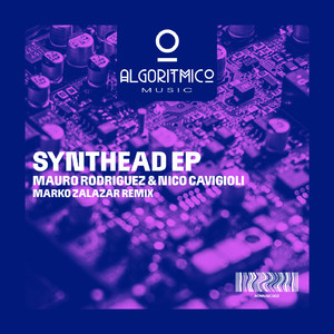 Synthead (Original Mix)