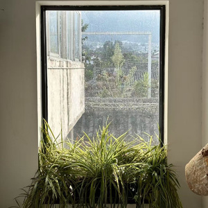 明天如何都随他