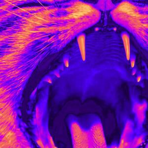 Holler (Deep House Mix)