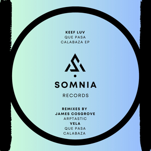 Que Pasa Calabaza (Vela Remix)